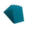 GAMEGENIC - 100 PRIME SLEEVES BLUE 66X91