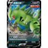 Tyranitar V ( CS3a-086) CH