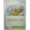 Pokémon SWSH 296 Champions Festival Japanese