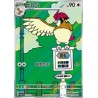 Pidgeotto (CSV4C 137) - Bonus Round - S-Chinese