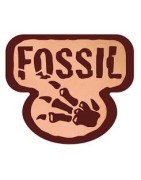 Pokémon Fossil